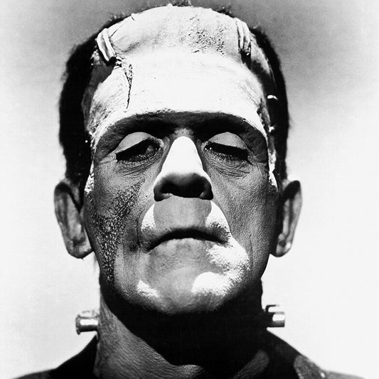 Frankenstein – Audiobook (MP3) by Mary Shelley